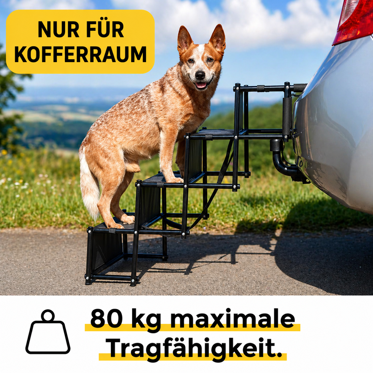 Hundetreppe klappbar