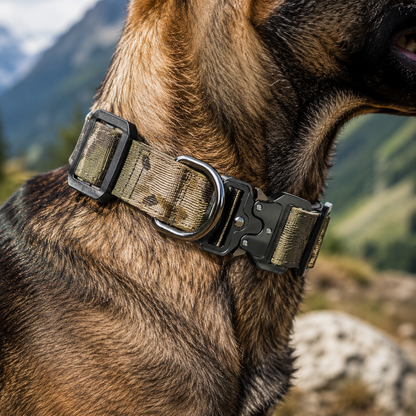 Taktisches Hundehalsband & Geschirr