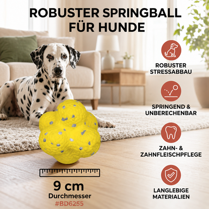PowerBounce Hundeball
