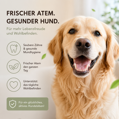 Zahnpflege Set für Hunde & Katzen
