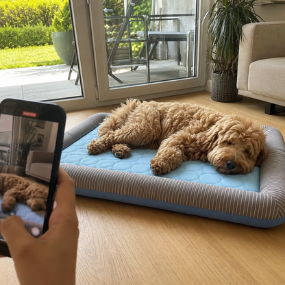 Kühlbett für Hunde & Katzen