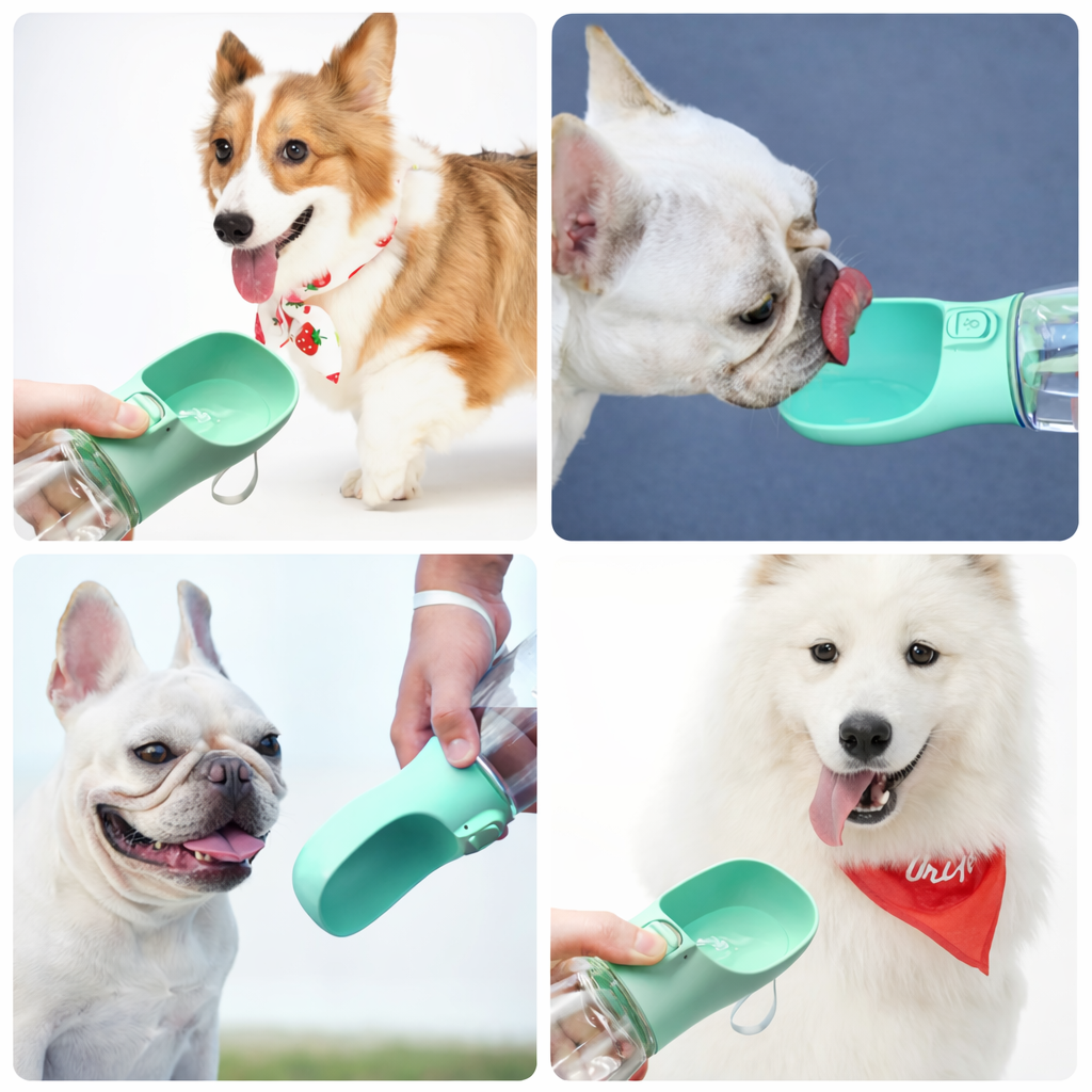 Tragbare Hundetrinkflasche