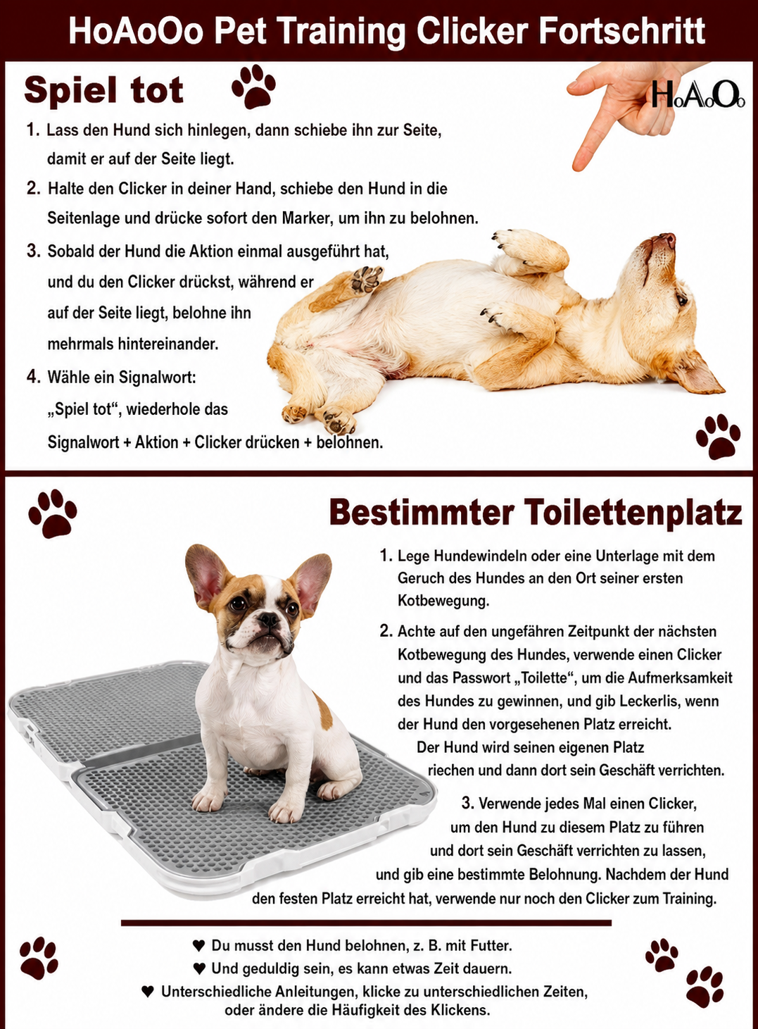 Training Clicker für Hunde & Katzen
