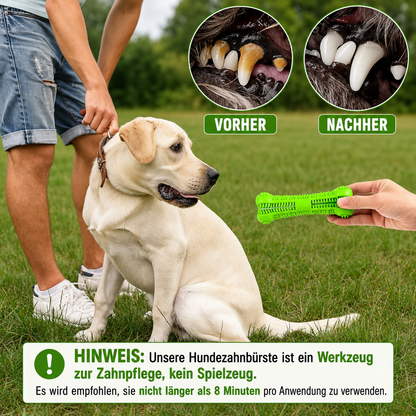 Zahnreinigungs-Kauspielzeug für Hunde