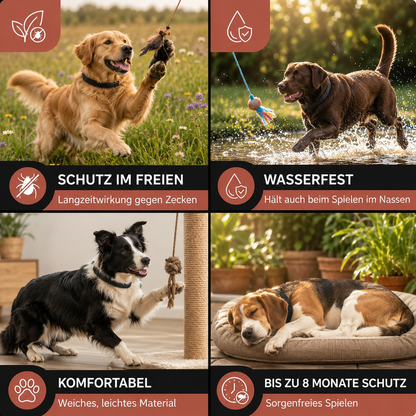 Beruhigendes Zecken- & Flohschutz Halsband für Hunde