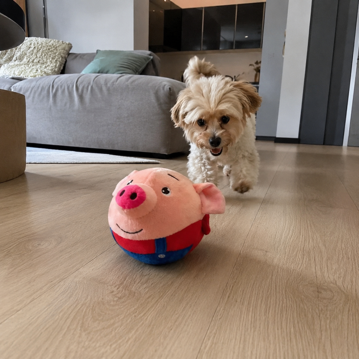 Selbstbewegendes Hundespielzeug