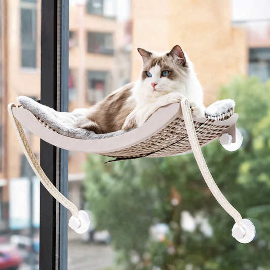 Katzen Fensterhängematte