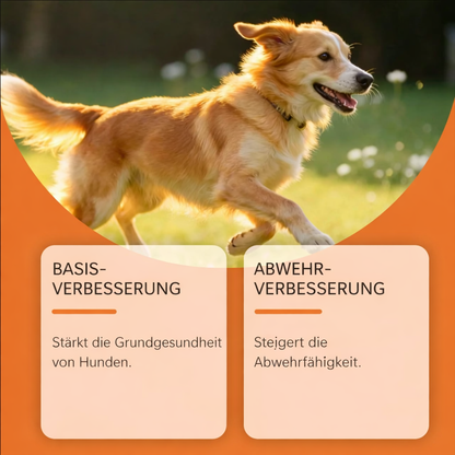 Immunstärkende Tropfen für Hunde