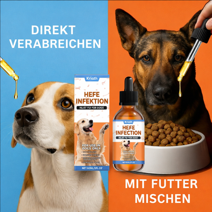Immunstärkende Tropfen für Hunde