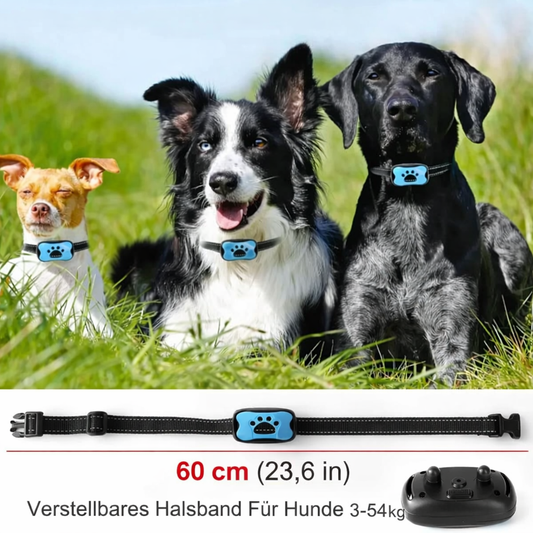 Anti-Bell Trainingsgerät für Hunde