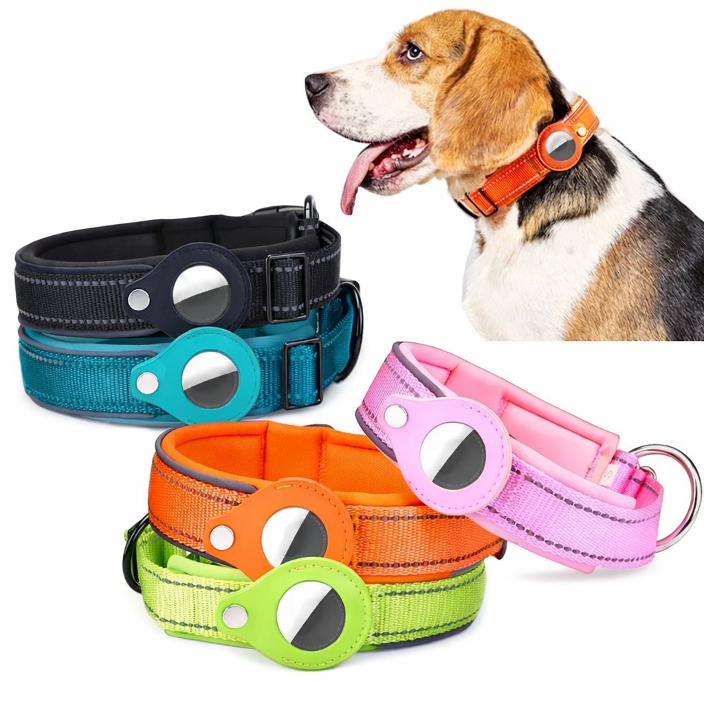 Hundehalsband mit AirTag Halter