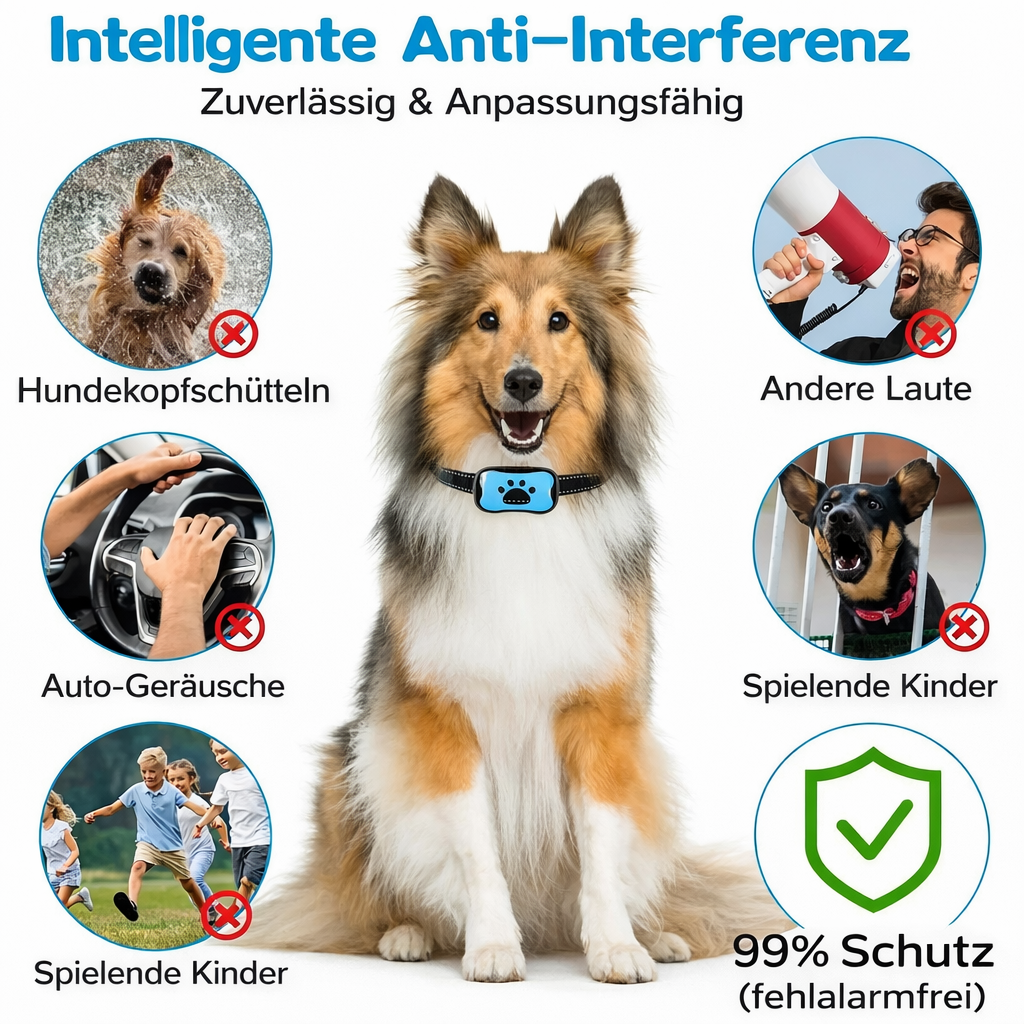 Anti-Bell Trainingsgerät für Hunde