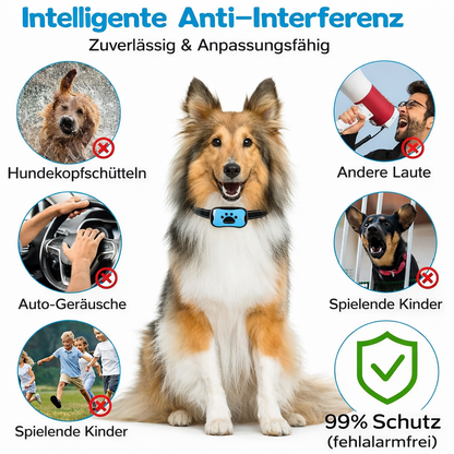 Anti-Bell Trainingsgerät für Hunde