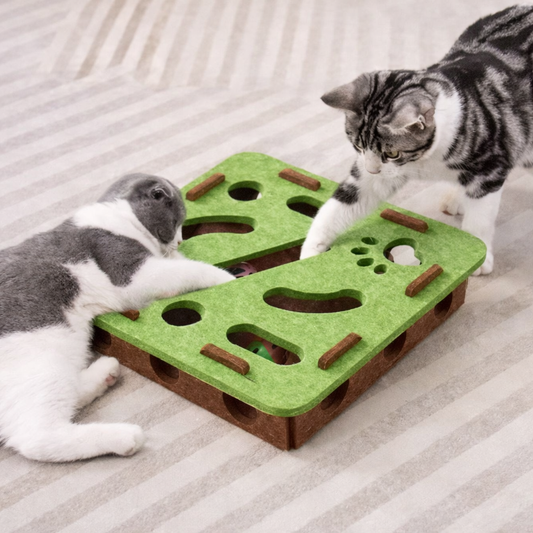 Katzen Puzzle Box