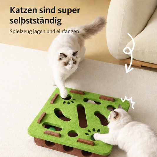 Katzen Puzzle Box