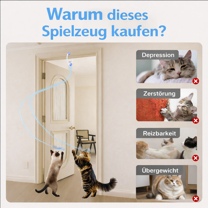Elektrisches Katzen Türspielzeug