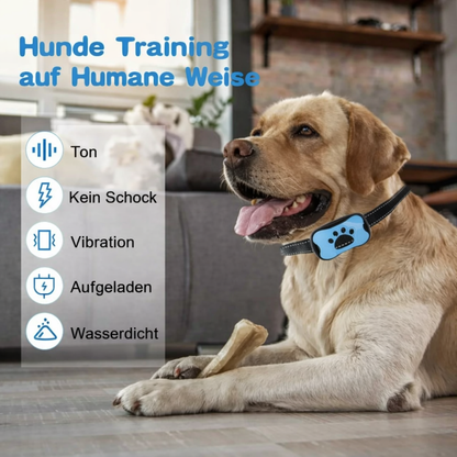 Anti-Bell Trainingsgerät für Hunde