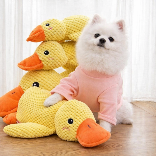 Beruhigendes Enten Hundespielzeug