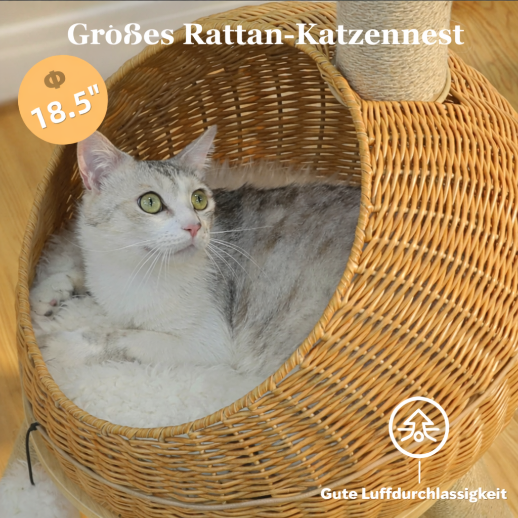 Designer Kratzbaum