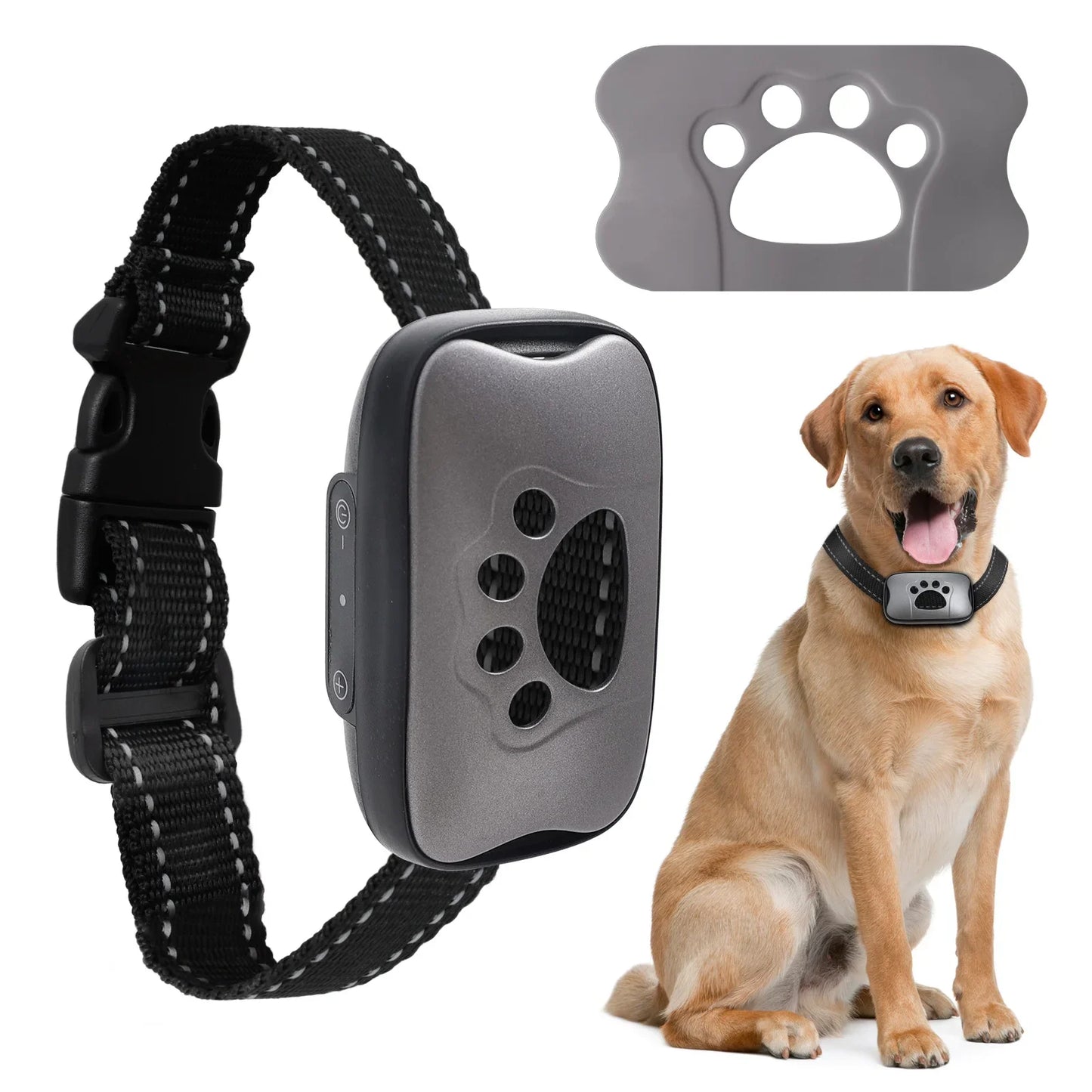 Anti-Bell Trainingsgerät für Hunde