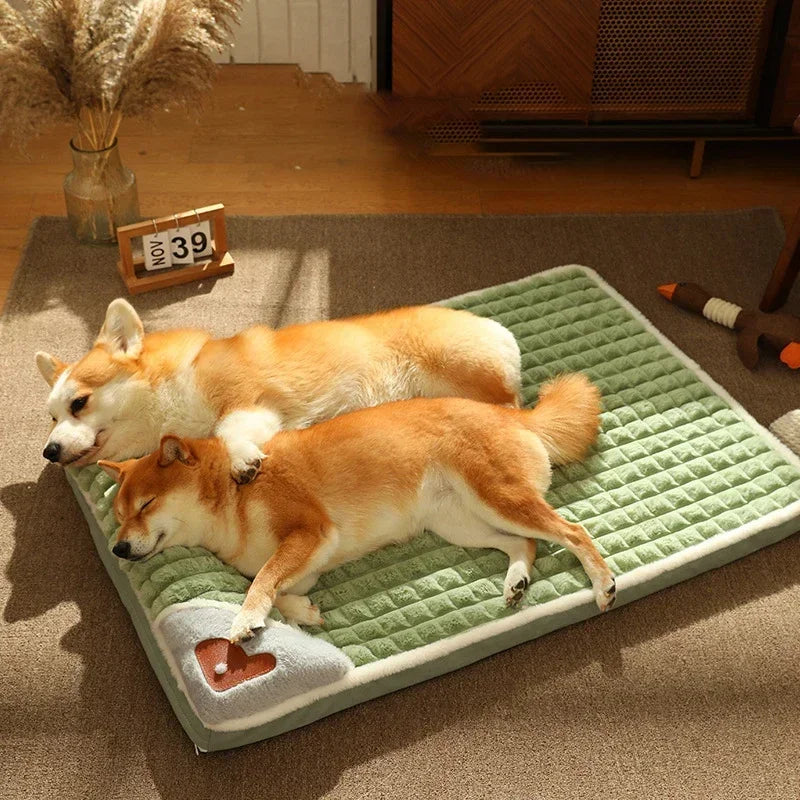 Orthopädisches Hundebett mit Rand