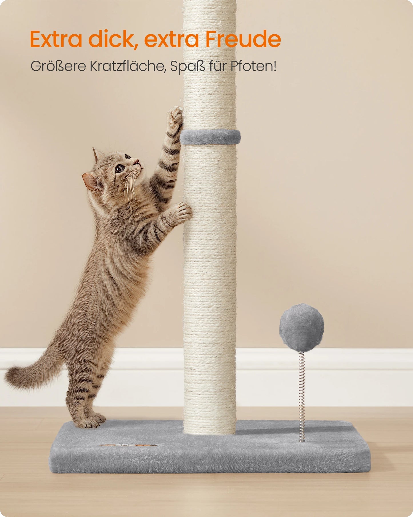 Kratzsäule