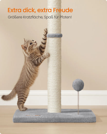 Kratzsäule