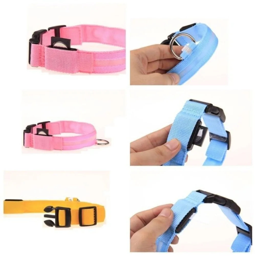 LED Leuchthalsband für Hunde