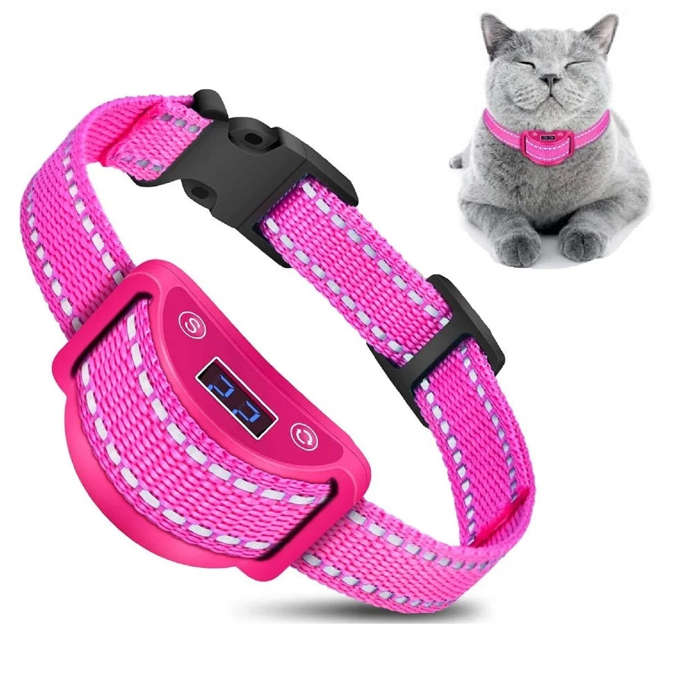Anti-Miau Halsband Katze