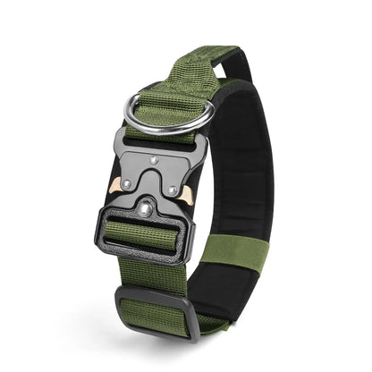 Taktisches Hundehalsband & Geschirr