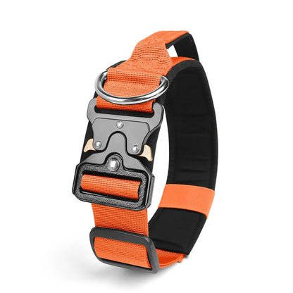 Taktisches Hundehalsband & Geschirr