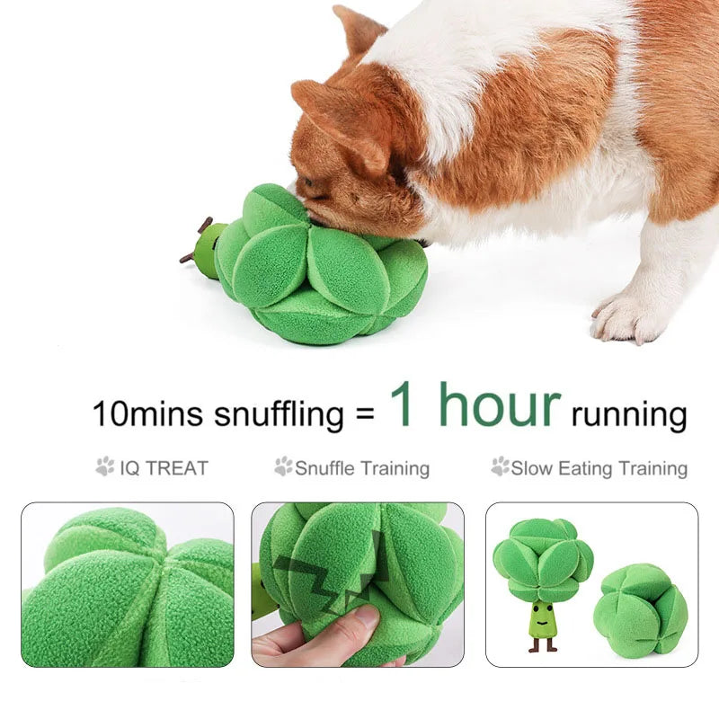 Brokkoli Schnüffelspielzeug für Hunde