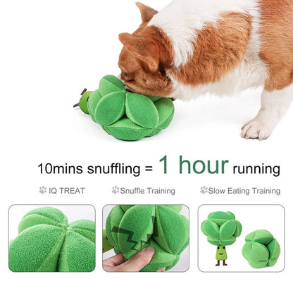 Brokkoli Schnüffelspielzeug für Hunde
