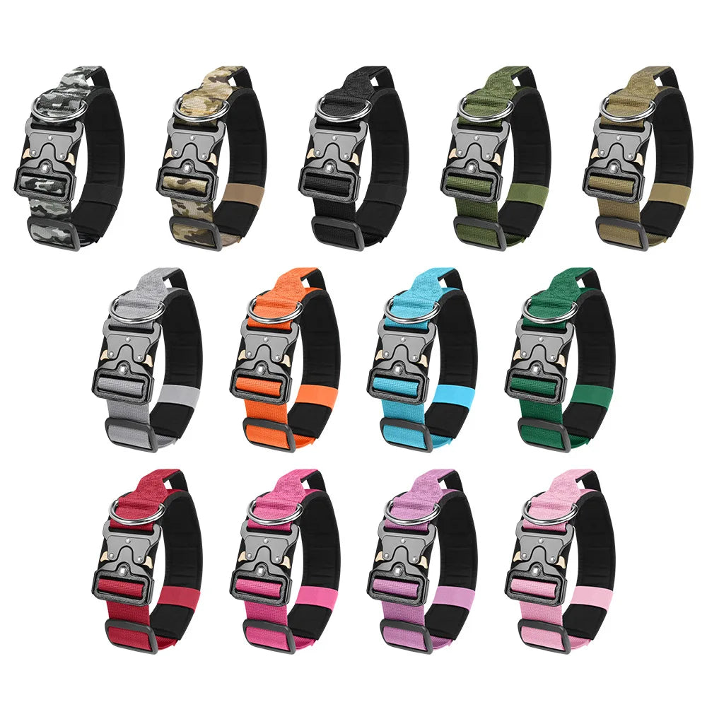 Taktisches Hundehalsband & Geschirr