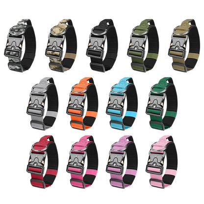 Taktisches Hundehalsband & Geschirr