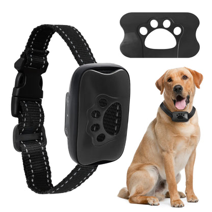 Anti-Bell Trainingsgerät für Hunde