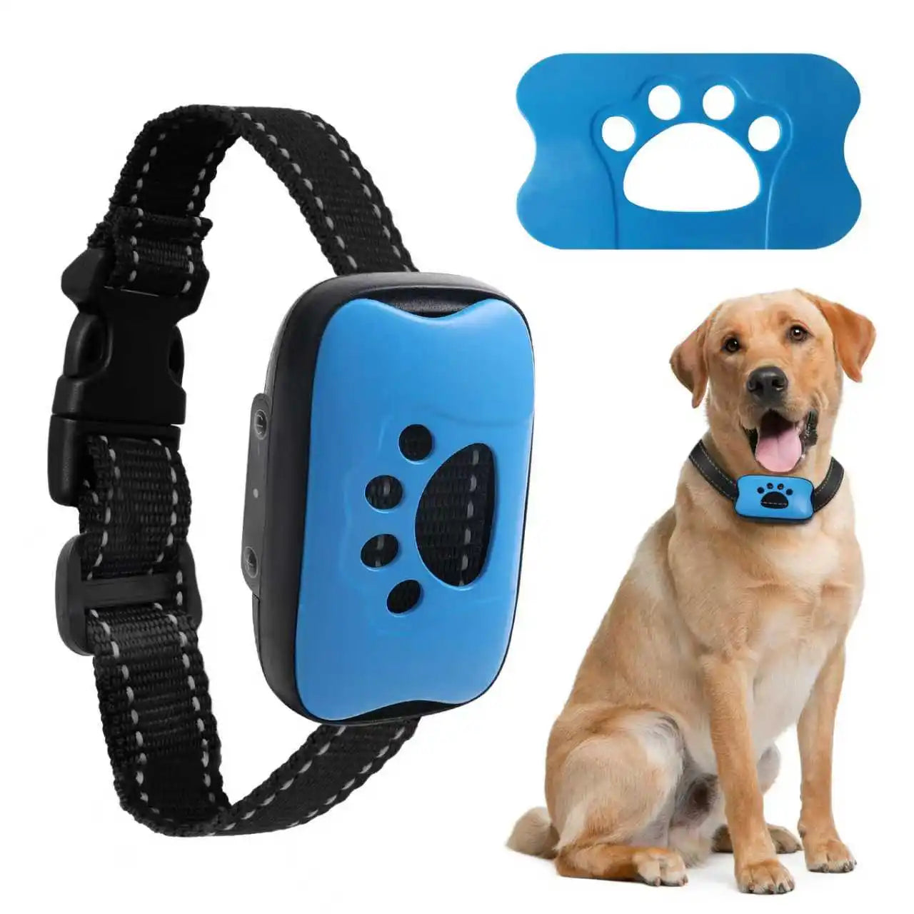 Anti-Bell Trainingsgerät für Hunde