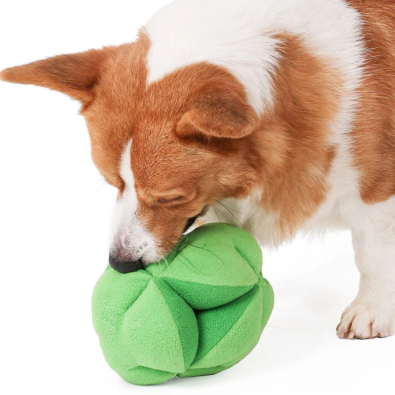Brokkoli Schnüffelspielzeug für Hunde