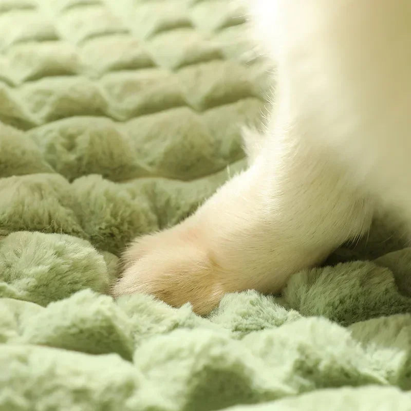 Orthopädisches Hundebett mit Rand