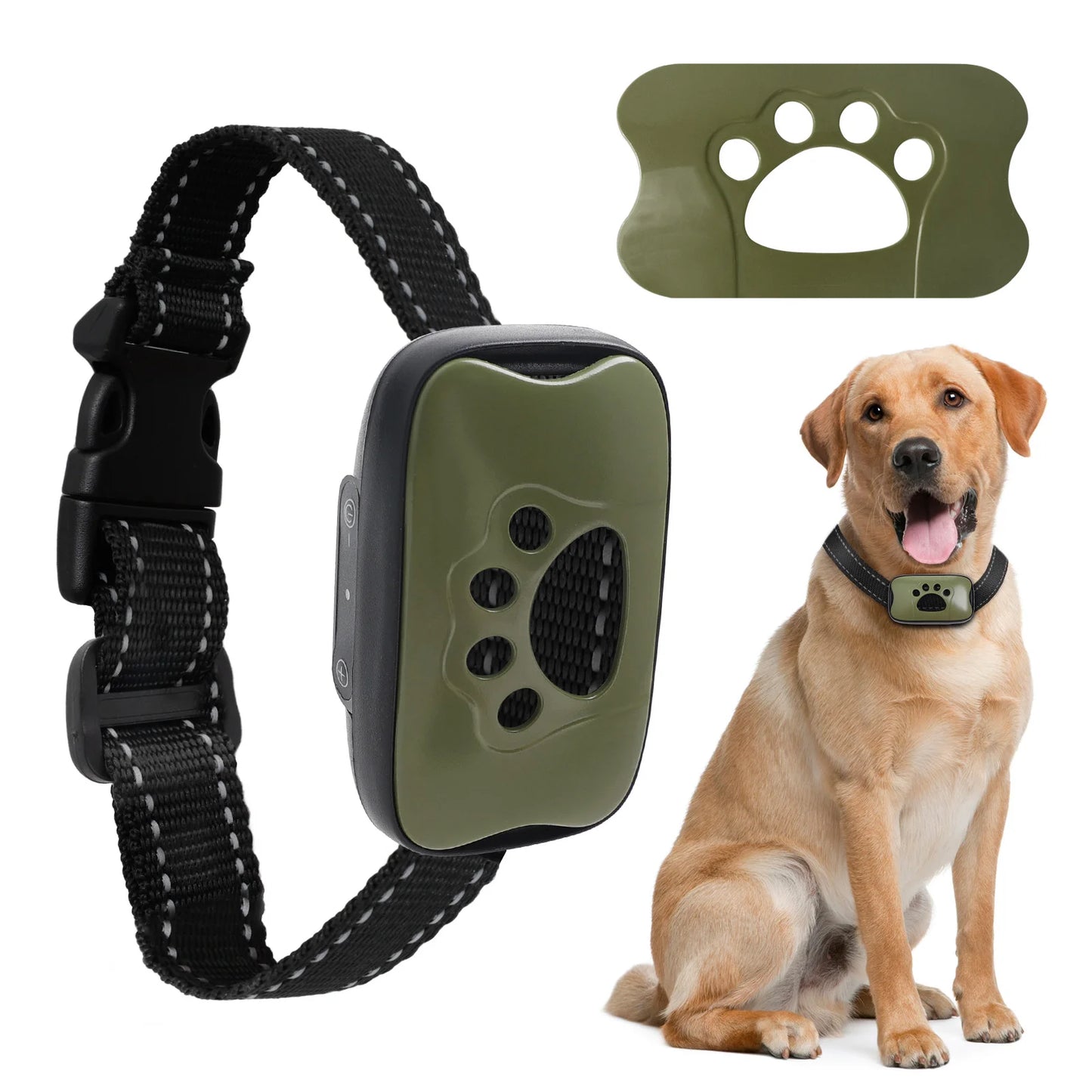 Anti-Bell Trainingsgerät für Hunde