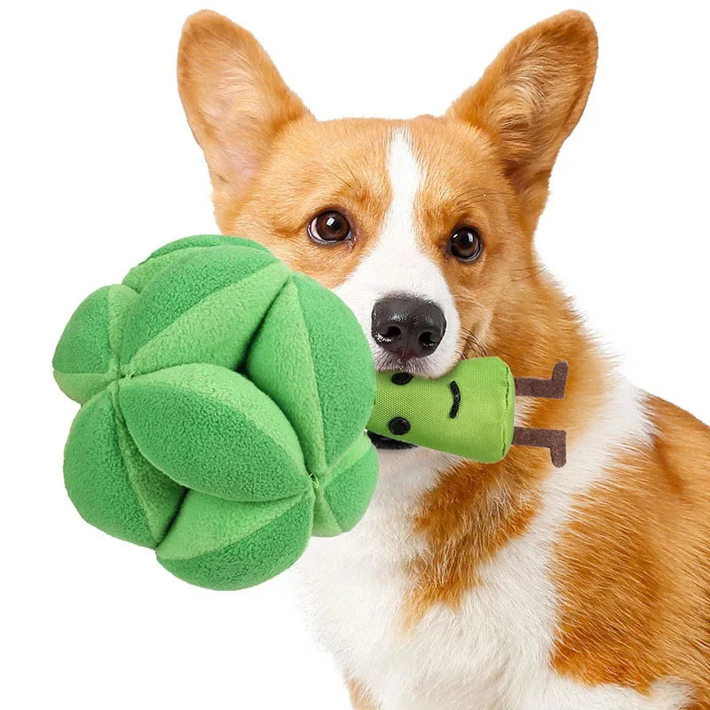 Brokkoli Schnüffelspielzeug für Hunde