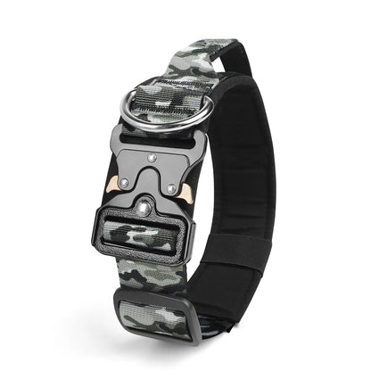 Taktisches Hundehalsband & Geschirr