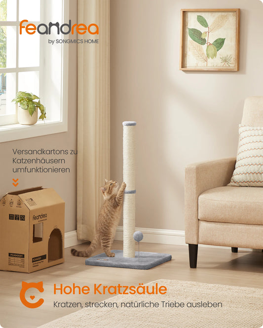 Kratzsäule