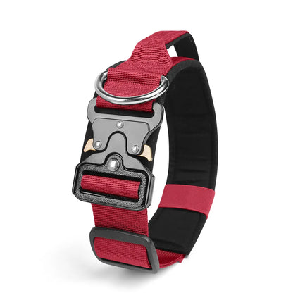 Taktisches Hundehalsband & Geschirr