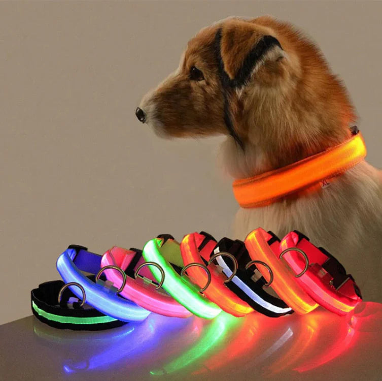 LED Leuchthalsband für Hunde
