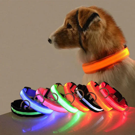 LED Leuchthalsband für Hunde