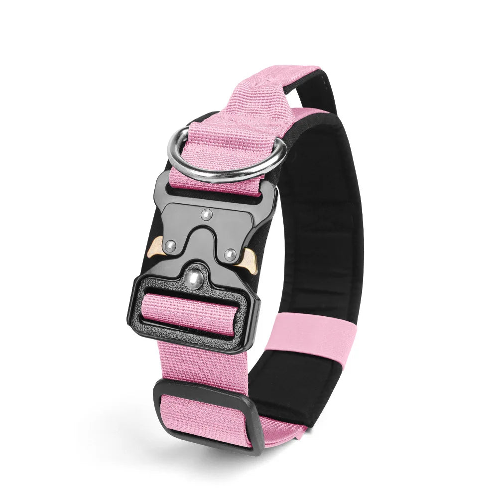 Taktisches Hundehalsband & Geschirr