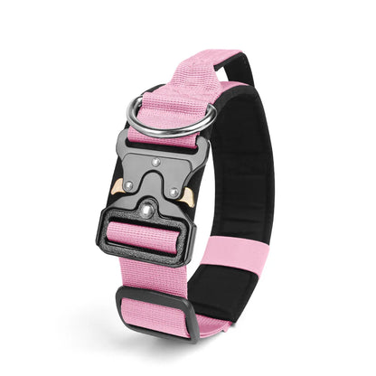 Taktisches Hundehalsband & Geschirr