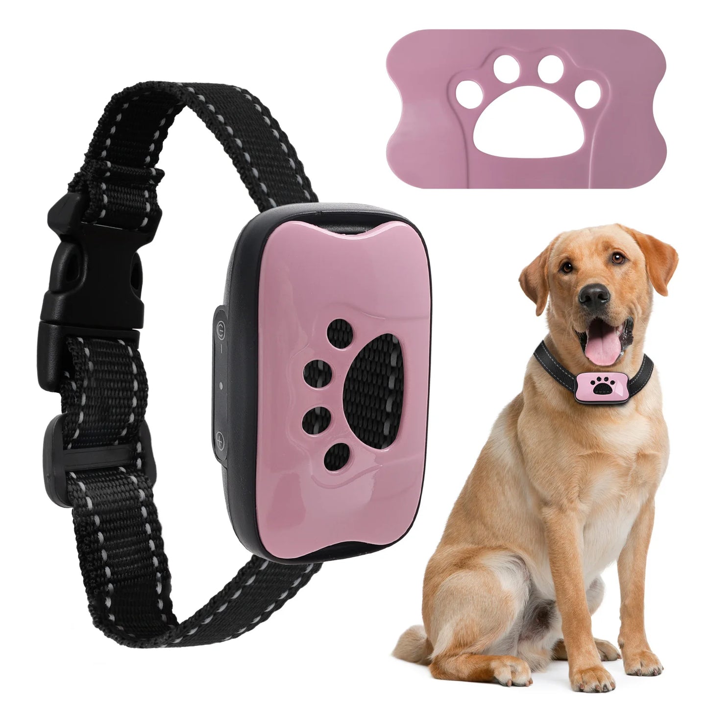 Anti-Bell Trainingsgerät für Hunde