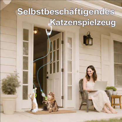 Elektrisches Katzen Türspielzeug